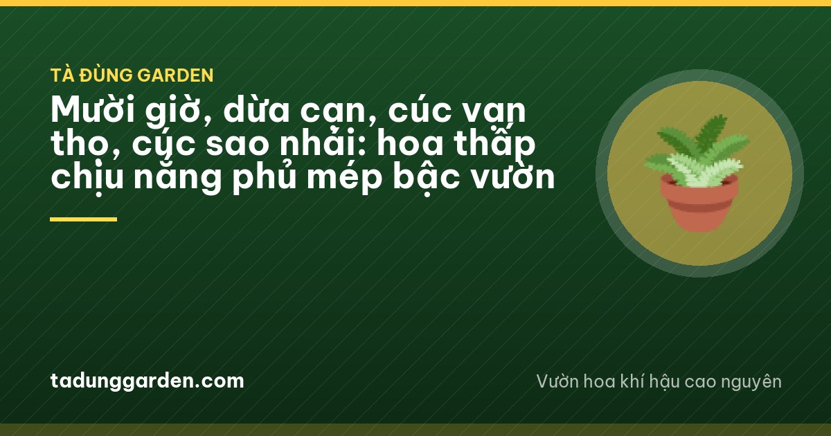Low colorful portulaca and periwinkle flowers spilling over the edge of a stone garden terrace, marigolds and cosmos in a bed behind, warm morning sunlight, hillside garden